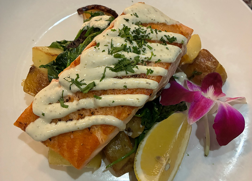 Salmon